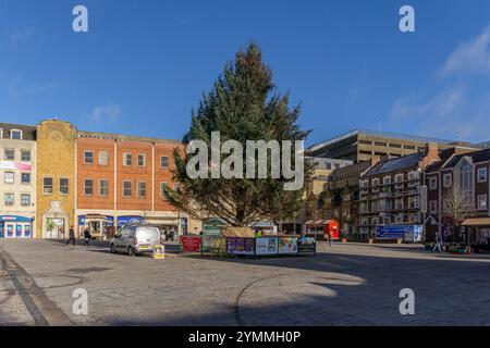Der Weihnachtsbaum wurde im Oktober 2024 auf dem neu renovierten Market Square in Northampton errichtet; die Eröffnung wurde durch Storm Bert verzögert Stockfoto