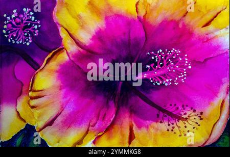 Nahaufnahme farbenfroher Hibiskusblüten mit leuchtenden Rosa- und Gelbtönen in einem Aquarellgemälde Stockfoto