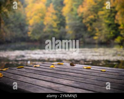 Leerer alter Holztisch mit verschwommenem Waldhintergrund im Herbst. Hintergrund für Produktfotografie Stockfoto