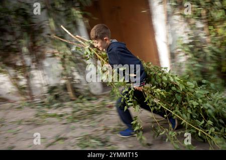 Ein Junge trägt Zweige während der Fronleichnamsfeier in El Gastor, Sierra de Cadiz, Andalusien, Spanien Stockfoto