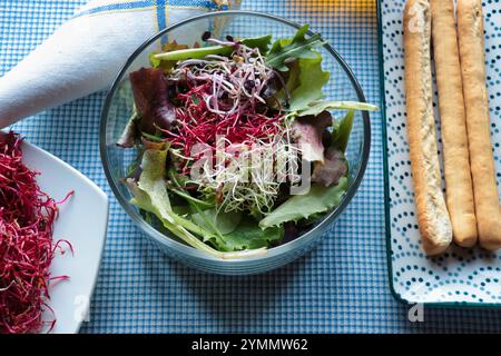 Gemischter Salat mit Sprossen von Rettich, alfa alfa und Rote Bete Ansicht von oben Stockfoto