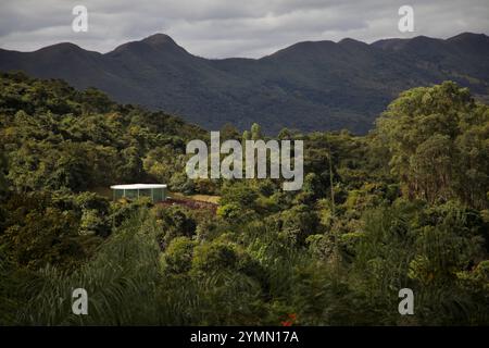 „Sonic Pavilion“ (2009), eine Galerie des US-amerikanischen multidisziplinären Künstlers Doug Aitken, wird in Inhotim von einem Atlantikwald umgeben gesehen. Das Inhotim Institute ist eine private brasilianische Einrichtung, die 2004 von Bernardo Paz, einem im Bergbau tätigen Unternehmer, gegründet wurde. Das 1.000 Hektar große Gelände ist sowohl ein bedeutendes Museum für zeitgenössische Kunst als auch ein botanischer Garten. 23 Pavillons und Galerien sind für die Öffentlichkeit zugänglich und zeigen die Werke von etwa hundert zeitgenössischen Künstlern aus über dreißig Ländern. Stockfoto