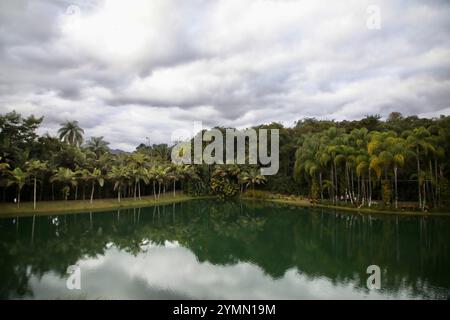 20. Juli 2023, Brumadinho, Minas Gerais, Brasilien: Der botanische Garten am Inhotim-Institut in Brasilien ist abgebildet. Das Inhotim Institute ist eine private brasilianische Einrichtung, die 2004 von Bernardo Paz, einem im Bergbau tätigen Unternehmer, gegründet wurde. Das 1.000 Hektar große Gelände ist sowohl ein bedeutendes Museum für zeitgenössische Kunst als auch ein botanischer Garten. 23 Pavillons und Galerien sind für die Öffentlichkeit zugänglich und zeigen die Werke von etwa hundert zeitgenössischen Künstlern aus über dreißig Ländern. (Credit Image: © Apolline Guillerot-Malick/SOPA Images via ZUMA Press Wire) NUR REDAKTIONELLE VERWENDUNG! Nicht für kommerzielle USAG Stockfoto