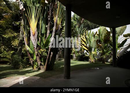 Brumadinho, Brasilien. Juli 2023. Der botanische Garten am Inhotim-Institut in Brasilien ist abgebildet. Das Inhotim Institute ist eine private brasilianische Einrichtung, die 2004 von Bernardo Paz, einem im Bergbau tätigen Unternehmer, gegründet wurde. Das 1.000 Hektar große Gelände ist sowohl ein bedeutendes Museum für zeitgenössische Kunst als auch ein botanischer Garten. 23 Pavillons und Galerien sind für die Öffentlichkeit zugänglich und zeigen die Werke von etwa hundert zeitgenössischen Künstlern aus über dreißig Ländern. (Foto: Apolline Guillerot-Malick/SOPA Images/SIPA USA) Credit: SIPA USA/Alamy Live News Stockfoto