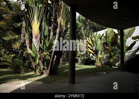 20. Juli 2023, Brumadinho, Minas Gerais, Brasilien: Der botanische Garten am Inhotim-Institut in Brasilien ist abgebildet. Das Inhotim Institute ist eine private brasilianische Einrichtung, die 2004 von Bernardo Paz, einem im Bergbau tätigen Unternehmer, gegründet wurde. Das 1.000 Hektar große Gelände ist sowohl ein bedeutendes Museum für zeitgenössische Kunst als auch ein botanischer Garten. 23 Pavillons und Galerien sind für die Öffentlichkeit zugänglich und zeigen die Werke von etwa hundert zeitgenössischen Künstlern aus über dreißig Ländern. (Credit Image: © Apolline Guillerot-Malick/SOPA Images via ZUMA Press Wire) NUR REDAKTIONELLE VERWENDUNG! Nicht für kommerzielle USAG Stockfoto