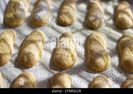 Nahaufnahme italienischer Savoiardi-Kekse, weibliche Finger, auf einer Backform Stockfoto