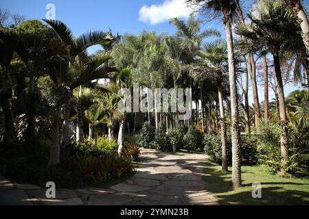 20. Juli 2023, Brumadinho, Minas Gerais, Brasilien: Der botanische Garten am Inhotim-Institut in Brasilien ist abgebildet. Das Inhotim Institute ist eine private brasilianische Einrichtung, die 2004 von Bernardo Paz, einem im Bergbau tätigen Unternehmer, gegründet wurde. Das 1.000 Hektar große Gelände ist sowohl ein bedeutendes Museum für zeitgenössische Kunst als auch ein botanischer Garten. 23 Pavillons und Galerien sind für die Öffentlichkeit zugänglich und zeigen die Werke von etwa hundert zeitgenössischen Künstlern aus über dreißig Ländern. (Credit Image: © Apolline Guillerot-Malick/SOPA Images via ZUMA Press Wire) NUR REDAKTIONELLE VERWENDUNG! Nicht für kommerzielle USAG Stockfoto