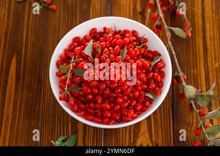 Frische reife rote Goji-Beeren in einer Schüssel auf einem Holztisch. Stockfoto