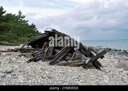 Schiffswrack am Strand des Naturschutzgebiets Trollskogen / Zauberwald. Es liegt an der Nordspitze der Insel Öland. Öland, Schweden schweden 2017 - 29 *** Schiffswrack am Strand des Naturschutzgebiets Trollskogen Zauberwald es befindet sich an der Nordspitze der Insel Öland, Schweden Schweden 2017 29 Stockfoto