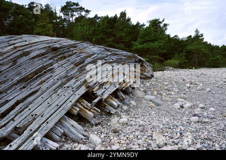 Schiffswrack am Strand des Naturschutzgebiets Trollskogen / Zauberwald. Es liegt an der Nordspitze der Insel Öland. Öland, Schweden Schweden 2017 - 30 *** Schiffswrack am Strand des Naturschutzgebiets Trollskogen Zauberwald es befindet sich an der Nordspitze der Insel Öland, Schweden Schweden 2017 30 Stockfoto