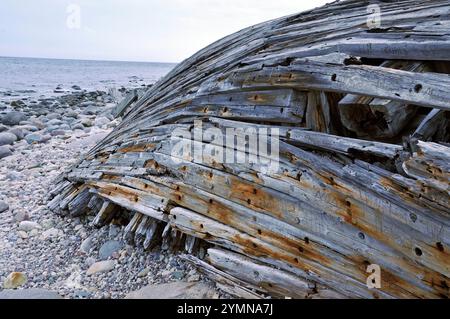 Schiffswrack am Strand des Naturschutzgebiets Trollskogen / Zauberwald. Es liegt an der Nordspitze der Insel Öland. Öland, Schweden Schweden 2017 - 32 *** Schiffswrack am Strand des Naturschutzgebiets Trollskogen Zauberwald es befindet sich an der Nordspitze der Insel Öland, Schweden Schweden 2017 32 Stockfoto