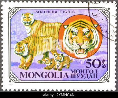 Von der Mongolei gedruckte gestempelte Briefmarke, die Tiger (Panthera tigris) zeigt, um 1979. Stockfoto