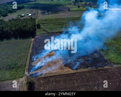 Luftaufnahme von Bauern, die Maisrückstände nach der Ernte verbrennen. Maisfeld Feuer nach der Ernte. Stockfoto