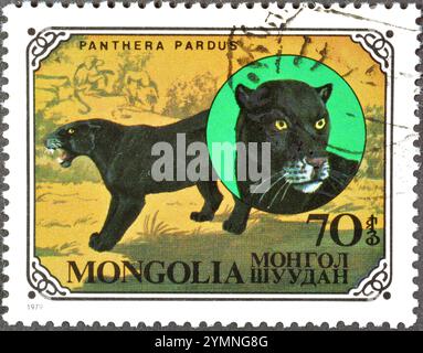 Von der Mongolei gedruckte gestempelte Briefmarke, die Leopard (Panthera pardus) zeigt, um 1979. Stockfoto