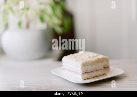 Ein Stück Kuchen liegt auf einem weißen Teller. Der Kuchen ist halbiert und hat eine grüne Pflanze dahinter Stockfoto