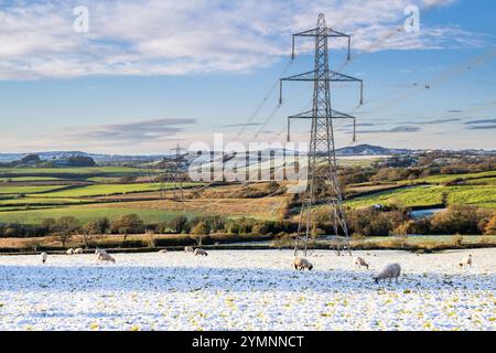 Askerswell, Dorset, Großbritannien. November 2024. Wetter in Großbritannien. Nationale Strommasten in den schneebedeckten Feldern von Askerswell in Dorset an einem kalten sonnigen Tag. Bildnachweis: Graham Hunt/Alamy Live News Stockfoto