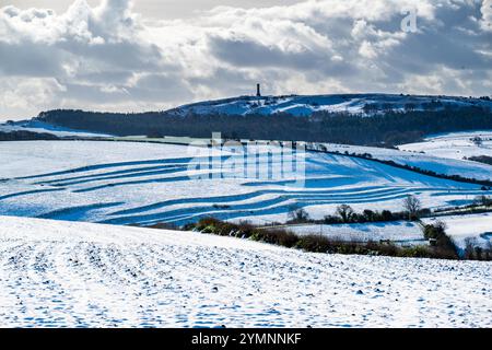 Winterbourne Abbas, Dorset, Großbritannien. November 2024. Wetter in Großbritannien. Blick über die schneebedeckten Felder von der Roman Road bei Winterbourne Abbas bis zum Hardy Monument an einem kalten, sonnigen Morgen. Das Denkmal wurde in Erinnerung an Vizeadmiral Sir Thomas Masterman Hardy errichtet, der Flaggenkapitän an Bord der HMS Victory in der Schlacht von Trafalgar war. Bildnachweis: Graham Hunt/Alamy Live News Stockfoto