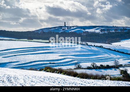Winterbourne Abbas, Dorset, Großbritannien. November 2024. Wetter in Großbritannien. Blick über die schneebedeckten Felder von der Roman Road bei Winterbourne Abbas bis zum Hardy Monument an einem kalten, sonnigen Morgen. Das Denkmal wurde in Erinnerung an Vizeadmiral Sir Thomas Masterman Hardy errichtet, der Flaggenkapitän an Bord der HMS Victory in der Schlacht von Trafalgar war. Bildnachweis: Graham Hunt/Alamy Live News Stockfoto