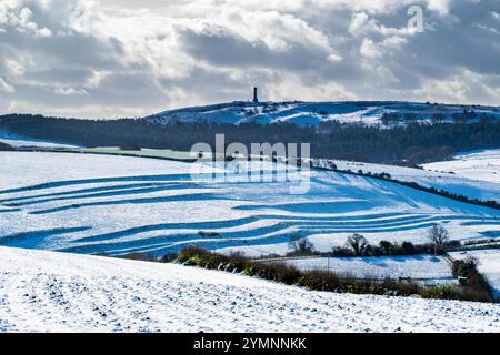 Winterbourne Abbas, Dorset, Großbritannien. November 2024. Wetter in Großbritannien. Blick über die schneebedeckten Felder von der Roman Road bei Winterbourne Abbas bis zum Hardy Monument an einem kalten, sonnigen Morgen. Das Denkmal wurde in Erinnerung an Vizeadmiral Sir Thomas Masterman Hardy errichtet, der Flaggenkapitän an Bord der HMS Victory in der Schlacht von Trafalgar war. Bildnachweis: Graham Hunt/Alamy Live News Stockfoto