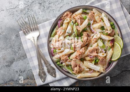 Cremiger Thunfischsalat aus der Dose mit Penne-Nudeln, grünen Erbsen, roten Zwiebeln und Sellerie in Nahaufnahme auf einem Teller auf dem Tisch. Horizontale Draufsicht von oben Stockfoto