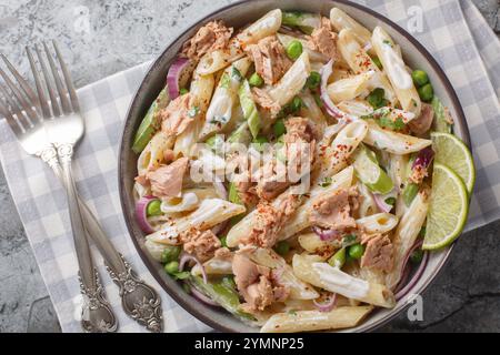 Zarter Thunfischsalat mit Penne-Nudeln, grünen Erbsen, roten Zwiebeln und Sellerie in Nahaufnahme auf einem Teller auf dem Tisch. Horizontale Draufsicht von oben Stockfoto