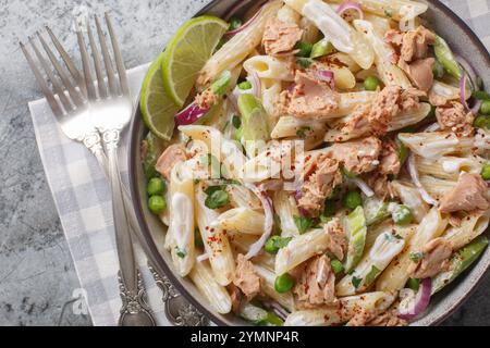 Nudelsalat mit Thunfisch und Gemüse mit cremigem Joghurtdressing auf dem Teller auf dem Tisch. Horizontale Draufsicht von oben Stockfoto