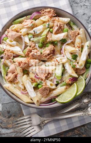 Diät gesunder Thunfischsalat mit Penne-Nudeln, grünen Erbsen, roten Zwiebeln und Sellerie gewürzt mit Joghurt in Nahaufnahme auf einem Teller auf dem Tisch. Vertikale Draufsicht fr Stockfoto