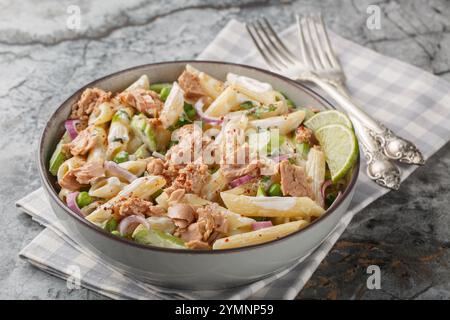 Zarter Thunfischsalat mit Penne-Nudeln, grünen Erbsen, roten Zwiebeln und Sellerie in Nahaufnahme auf einem Teller auf dem Tisch. Horizontal Stockfoto