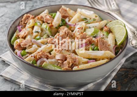 Nudelsalat mit Thunfisch und Gemüse mit cremigem Joghurtdressing auf dem Teller auf dem Tisch. Horizontal Stockfoto