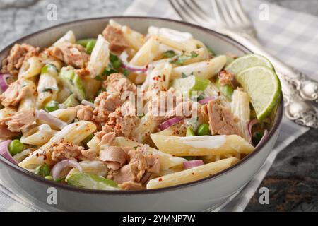Cremiger Thunfischsalat aus der Dose mit Penne-Nudeln, grünen Erbsen, roten Zwiebeln und Sellerie in Nahaufnahme auf einem Teller auf dem Tisch. Horizontal Stockfoto