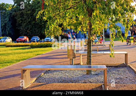 Stilvolle, moderne Bänke aus Edelstahl mit einem Baumstamm dazwischen an einem öffentlichen Ort. Warmes Licht bei Sonnenuntergang. Stockfoto