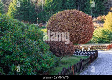 Schöner gepflegter Garten mit getrimmten Bäumen und Wegen. Hochwertige Fotos Stockfoto