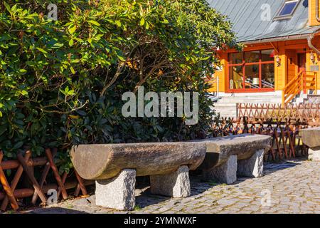 Ungewöhnliche Bänke, die aus Hälften eines Baumstamms im Park gebaut wurden. Stockfoto