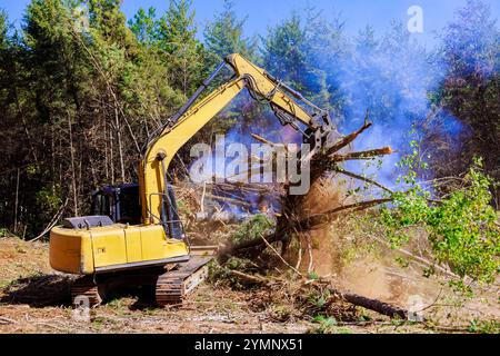 Das Abbrennen entwurzelter Bäume während der Baustellenräumung stellt eine Herausforderung für die Umwelt dar. Stockfoto
