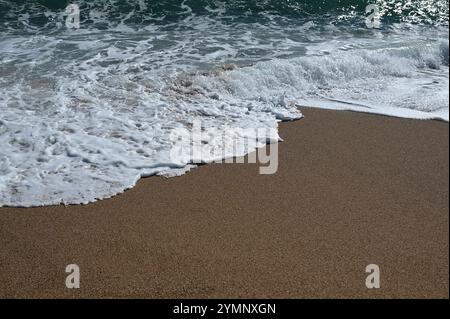 Sanfte Wellen treffen auf die Sandy Shore: Eine Nahaufnahme der Küstenbeschaulichkeit. Stockfoto