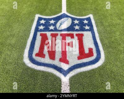 Ein NFL-Logo auf einem grünen Fußballfeld mit Kunstrasen in voller Farbe. Stockfoto