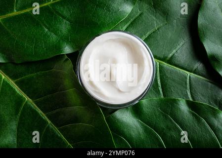 Glas Kosmetikcreme auf grünen Pflanzenblättern als Hintergrund, Draufsicht. Vegane Bio-Beauty-Creme auf Pflanzenbasis. Natürliche Hautpflege und Spa-Konzept. Stockfoto