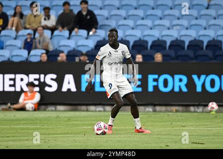 22. November 2024; Allianz Stadium, Sydney, NSW, Australien: A-League Football, Newcastle Jets gegen Central Coast Mariners; Alou Kuol von den Central Coast Mariners Stockfoto