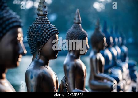 Reihe von Buddha-Statuen, Seema Malaka, ein buddhistischer Tempel am Beira-See. Colombo, Sri Lanka Stockfoto