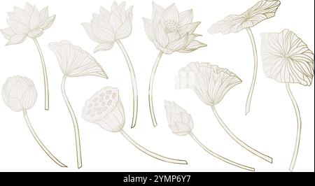 Lotus Blumen Vektor-Illustration. Set von Zeichnungen mit luxuriösen Wasserlilienpflanzen in Pastellbeige, rosa und goldenen Blumen. Botanisches lineares Clipart für Hochzeitseinladungen oder Hochzeitskarten. Stock Vektor