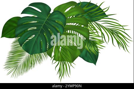 Sommerzusammensetzung tropischer Blätter. Dschungel-Design-Elemente mit grüner tropischer Exotik für Sommerkarte, Einladung, Banner, Poster. Vektor Stock Vektor
