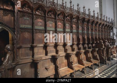 Spätgotische Chorstände von 1507, St. Martin, Memmingen, Bayern, Deutschland, Europa Stockfoto