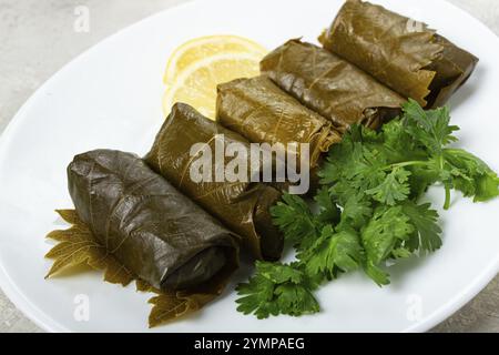 Dolma, Hackfleisch mit Reis, in Traubenblättern, Brötchen mit Hackfleisch, auf einem weißen Teller, Blick von oben, keine Leute, Dolma, Traubenblätter mit Füllung Stockfoto