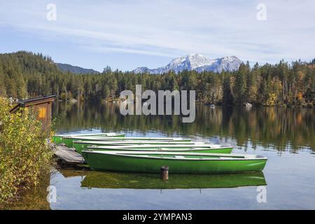 Bergmassiv hoher Goell mit Wald und Booten am Hintersee im Herbst, Ramsau, Berchtesgaden, Berchtesgadener Land, Oberbayern, Bayern, Deutschland Stockfoto