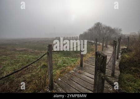 Ein Holzsteg oder eine Fußgängerbrücke führt durch ein Naturschutzgebiet in dichtem Nebel. Landschaftsaufnahme mitten in der Natur im Herbst. Burgruine Baldenau, M. Stockfoto