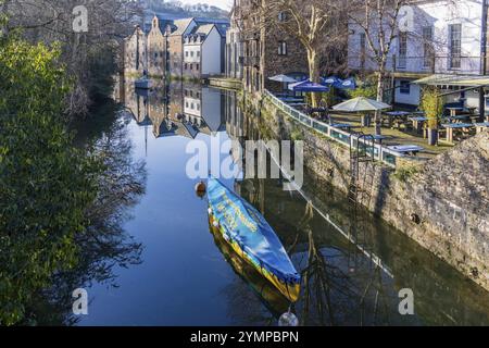 Totnes, Devon, Großbritannien, 16. Januar. Blick auf den Fluss Dart in Totnes, Devon am 16. Januar 2024 Stockfoto