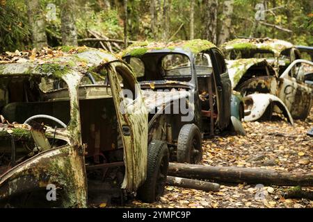 Schrottwagen, VW Käfer in Folge, Bastnaes Autofriedhof, Vaermland, Schweden, Europa Stockfoto