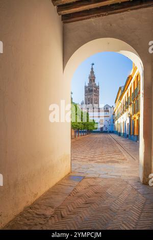 Blick auf den Turm von La Giralda mit der Kathedrale, eingerahmt von einem Bogen. Sevilla, Andalusien, Spanien Stockfoto