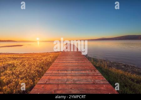 Holzpier am Trasimeno-See und ein Schwan bei Sonnenuntergang. Torricella, Magione, Provinz Perugia, Region Umbrien, Italien Stockfoto