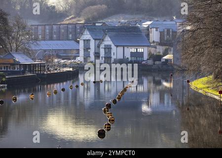 Totnes, Devon, Großbritannien, 16. Januar. Blick auf den Fluss Dart in Totnes, Devon am 16. Januar 2024 Stockfoto